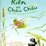 Kiến và châu chấu